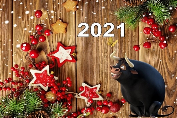 Виртуальная викторина «Как встречают Новый год люди всех земных широт»