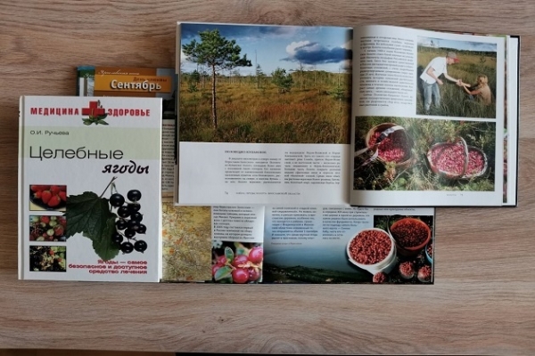 Онлайн-беседа «Клюква – сокровище ярославских болот»