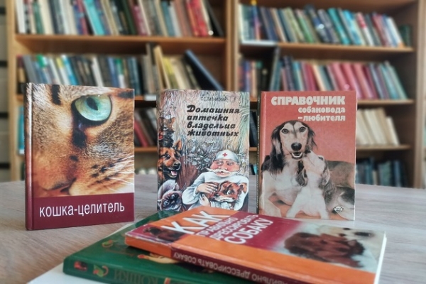 Онлайн - обзор «Ваши питомцы»