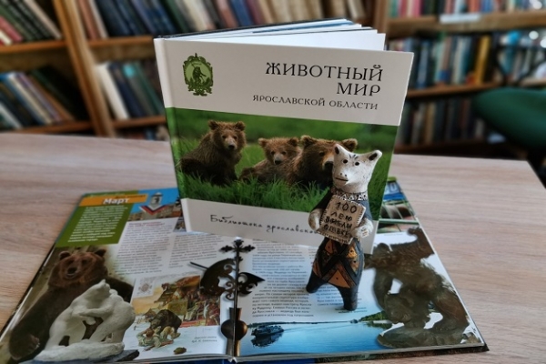 Онлайн-беседа «День медведя»