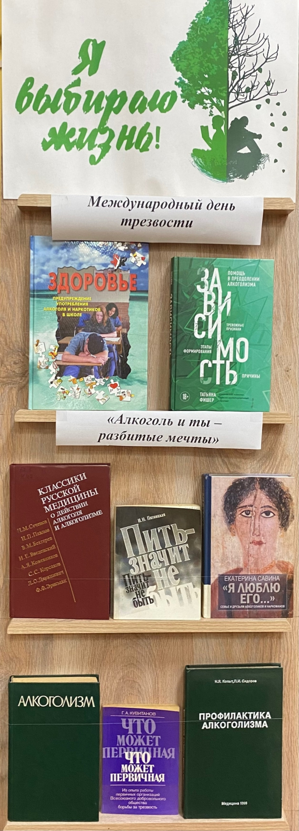 Книжная выставка «Алкоголь и ты: разбитые мечты»