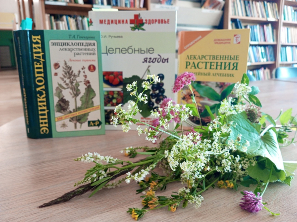 Познавательный час «Целебные растения вокруг нас»