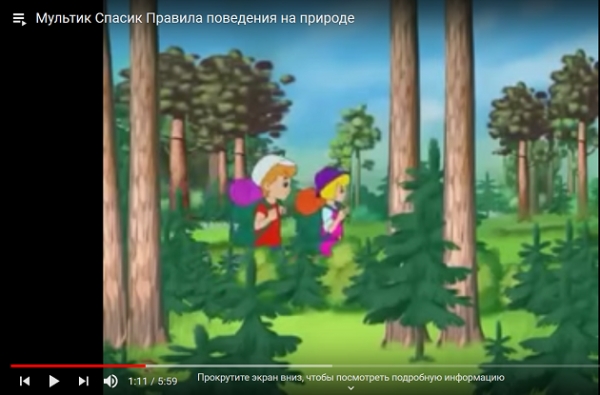 Правила поведения на природе