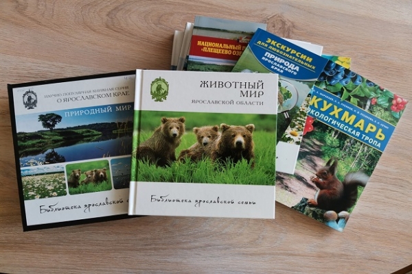 Онлайн-беседа «Экскурсии в природу по временам года: весна и лето»