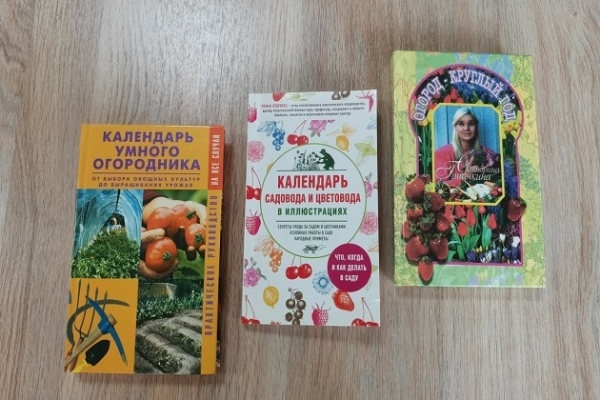 Обзор «Огород – круглый год»